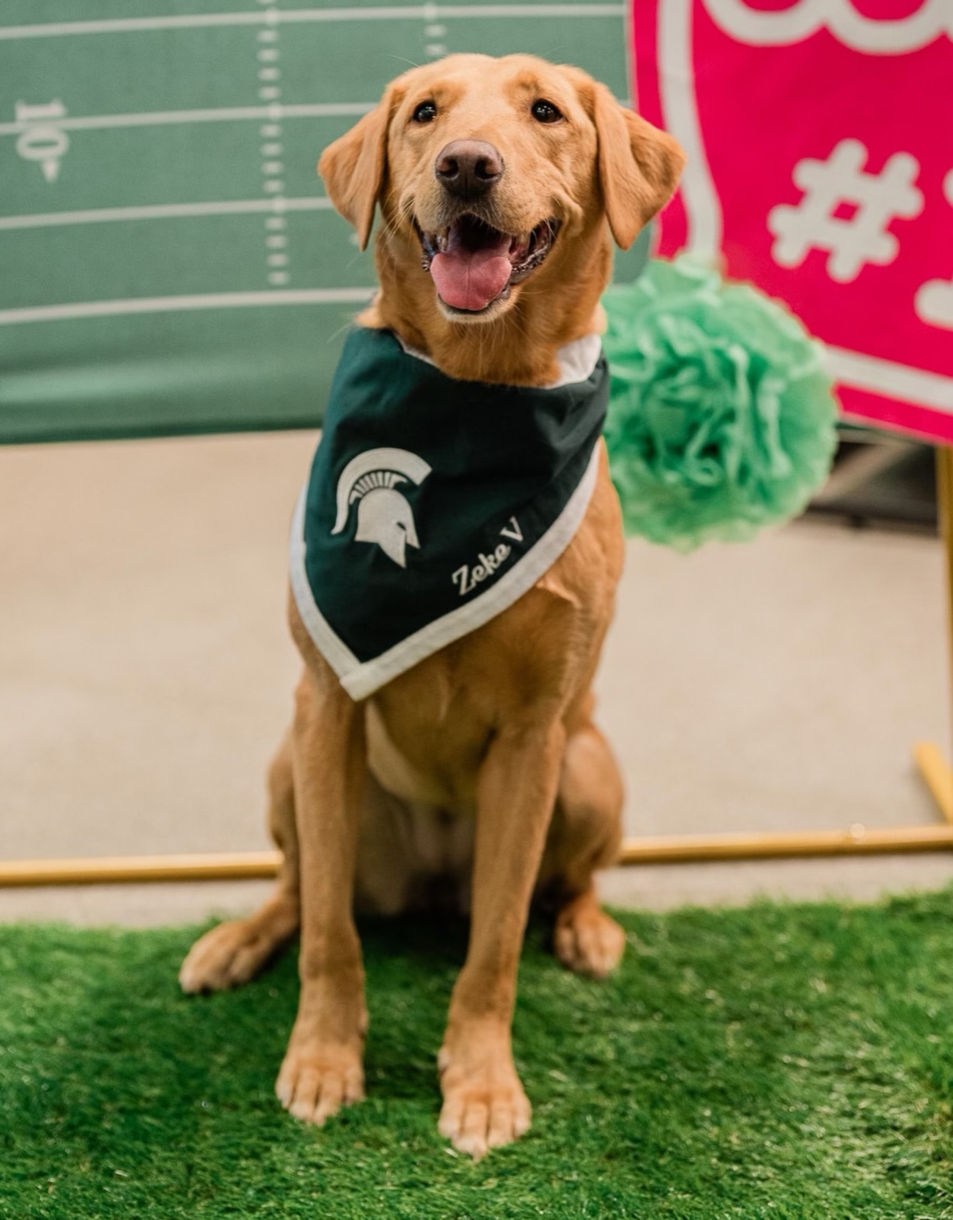 Zeke V in his Spartan bandana