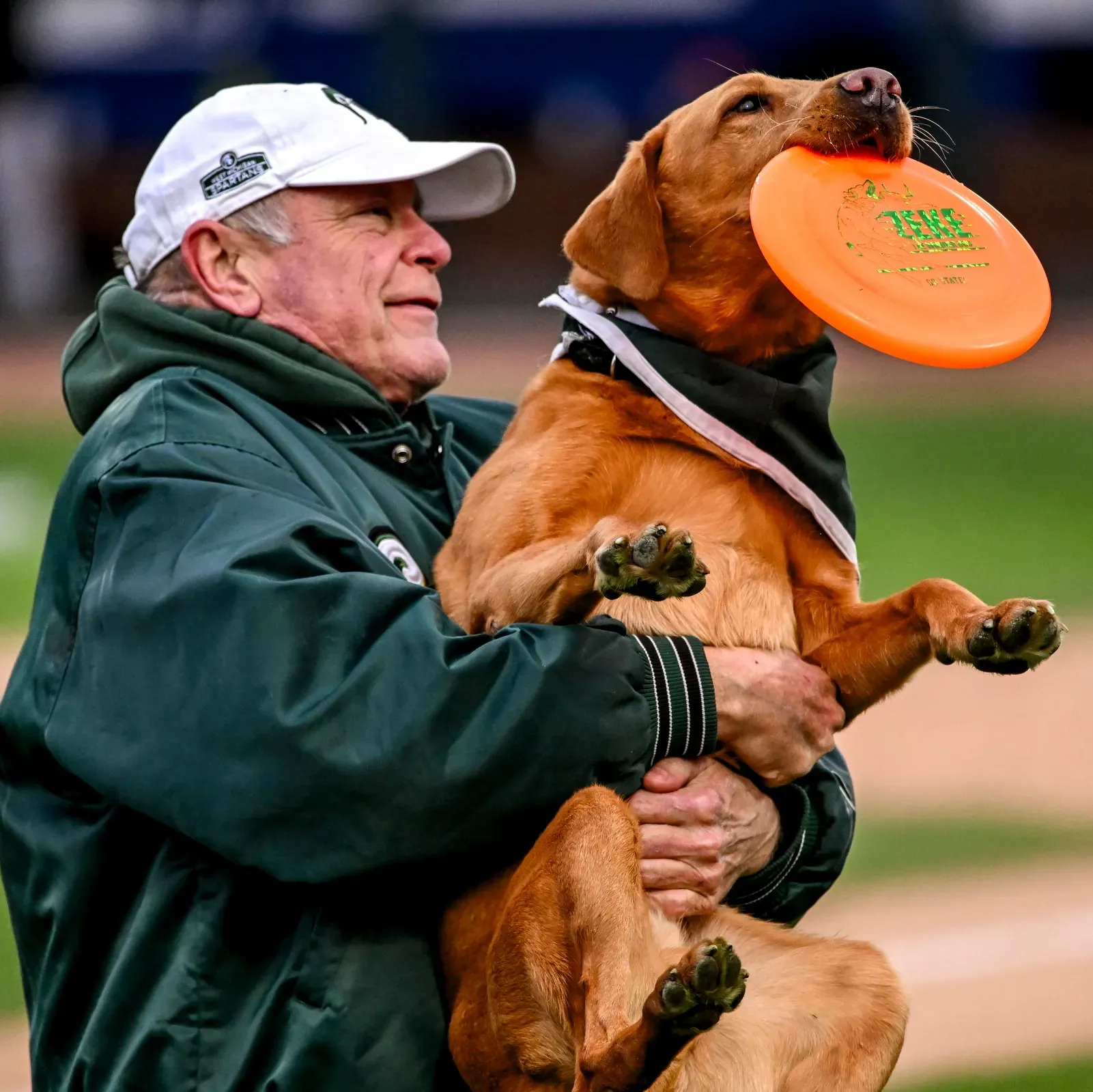 Zeke the WonderDog catching a frisbee with his handler at an MSU Lugnuts game